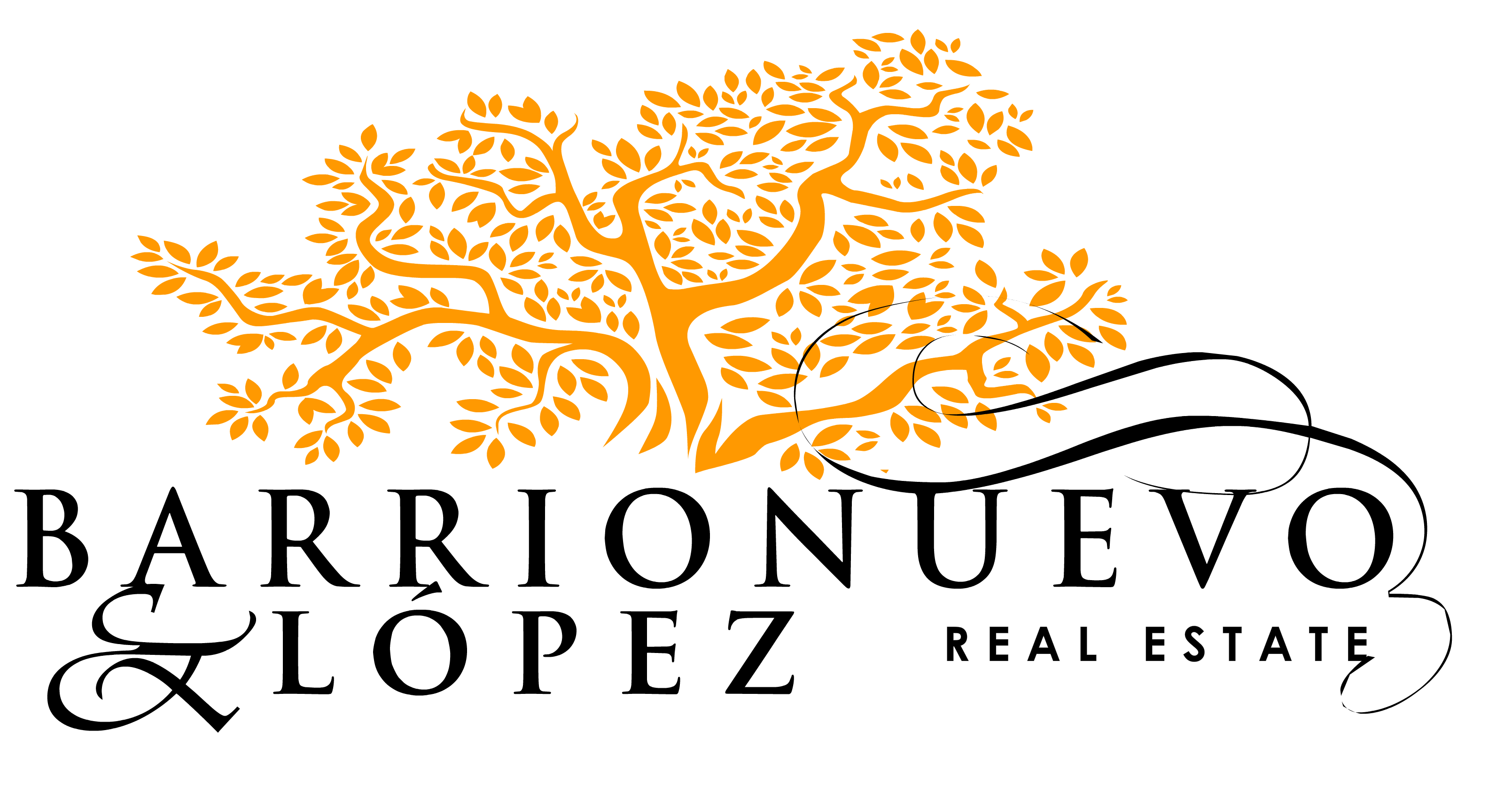 Barrionuevo logo